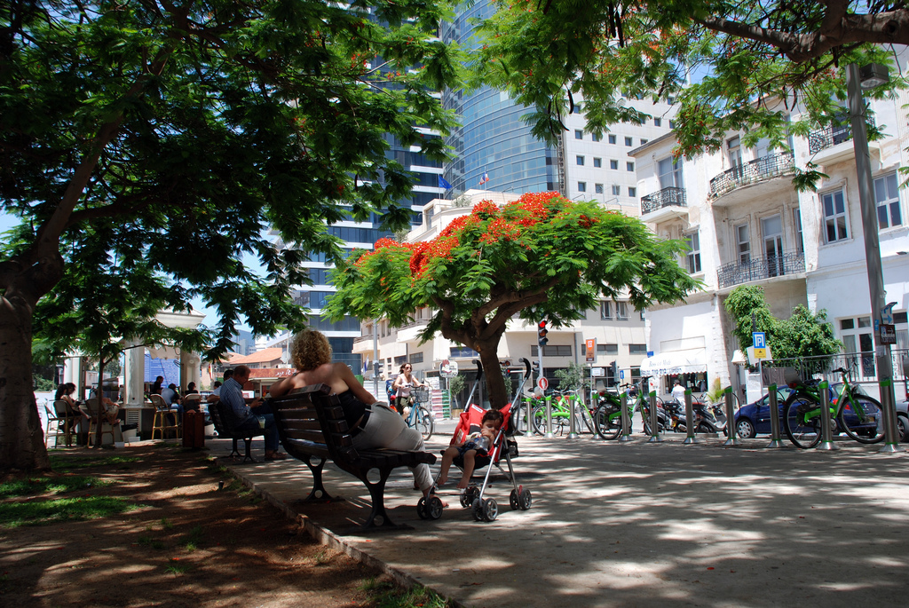 Rothchild Avenue (Tel Aviv)